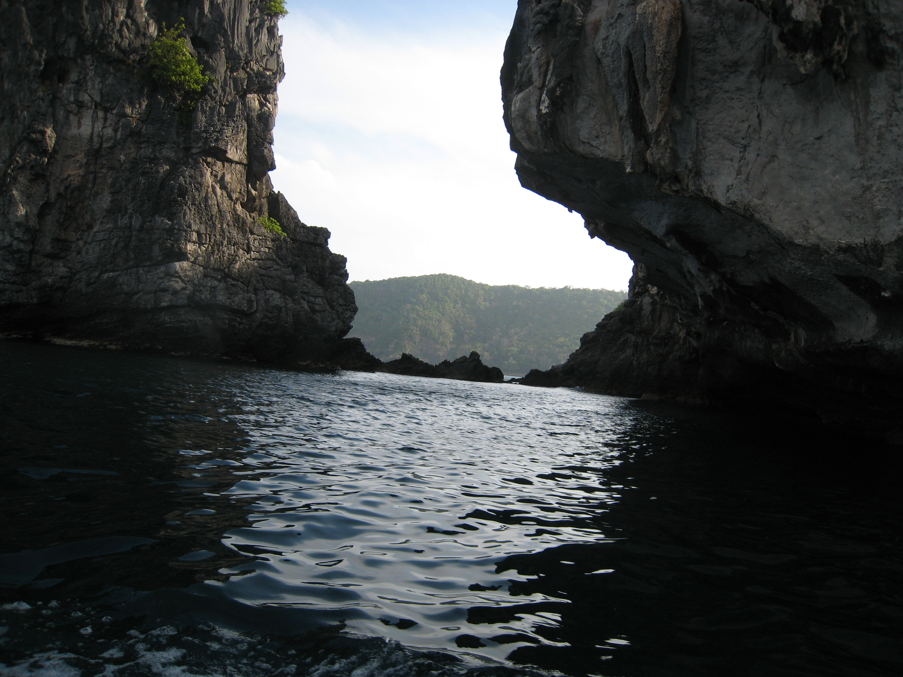 Dark Water